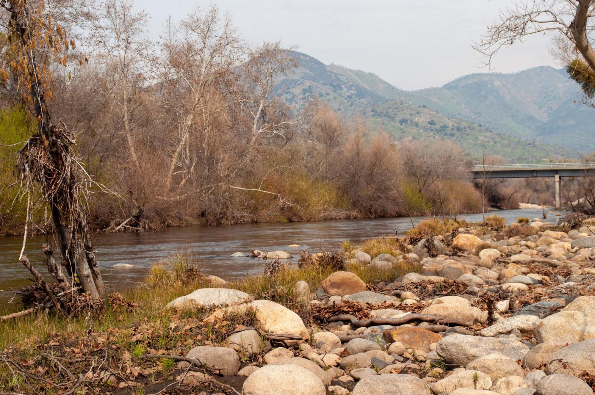 Sequoia River Front Cabins Three Rivers Exterior foto