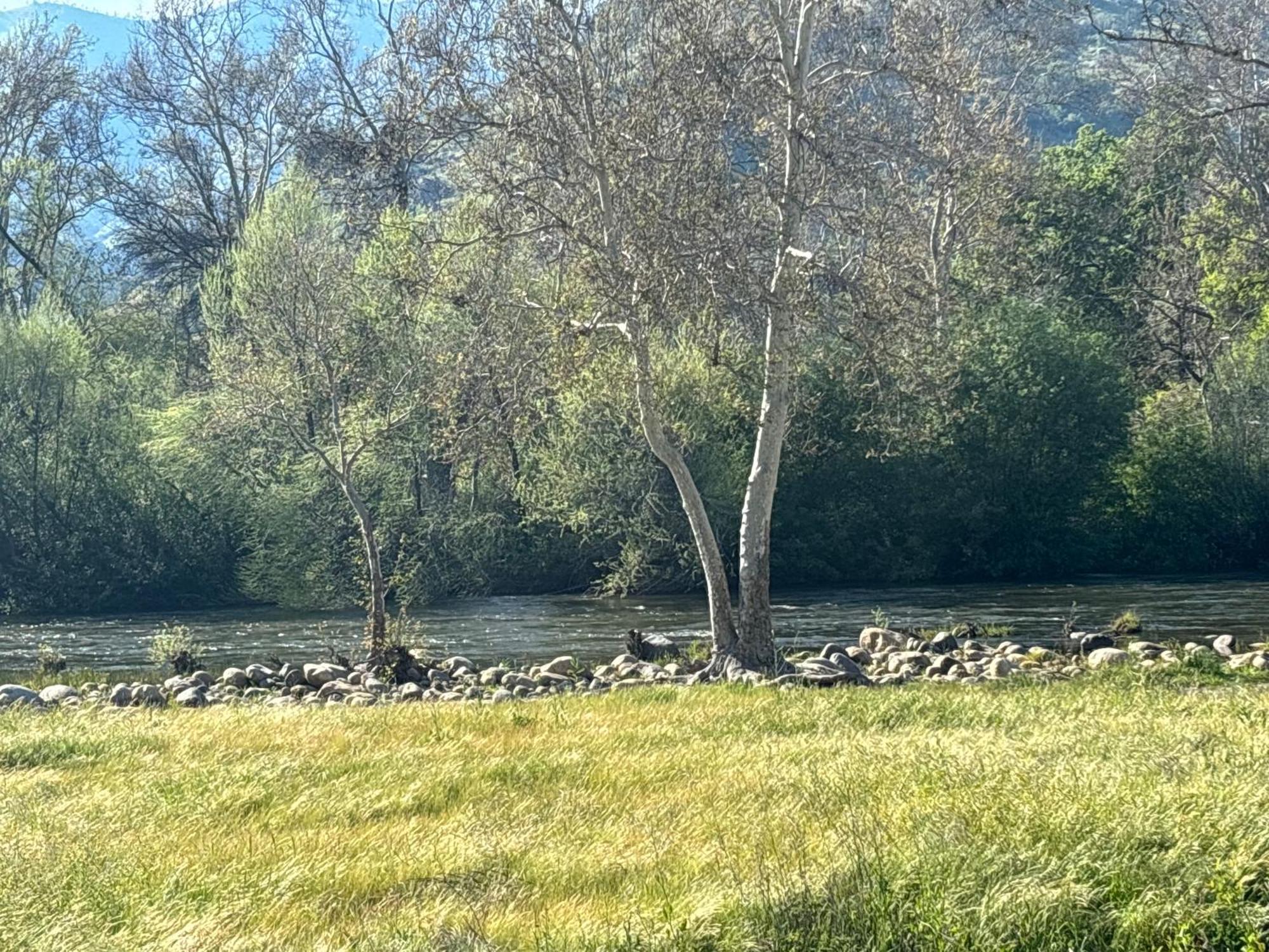 Sequoia River Front Cabins Three Rivers Exterior foto